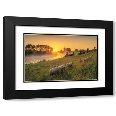 Sheep at Sunrise Black Modern Wood Framed Art Print with Double Matting by Podt, Martin