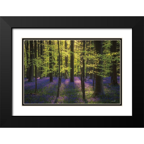 Fresh Green and Bluebells Black Modern Wood Framed Art Print with Double Matting by Podt, Martin