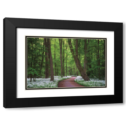 Fragrant Road Black Modern Wood Framed Art Print with Double Matting by Podt, Martin