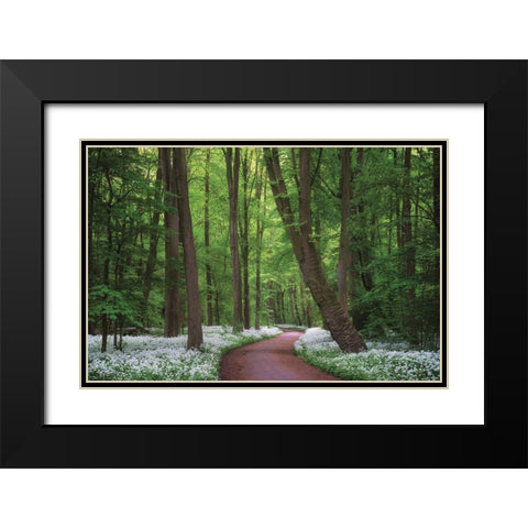 Fragrant Road Black Modern Wood Framed Art Print with Double Matting by Podt, Martin