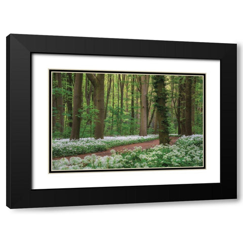 White Carpet Black Modern Wood Framed Art Print with Double Matting by Podt, Martin