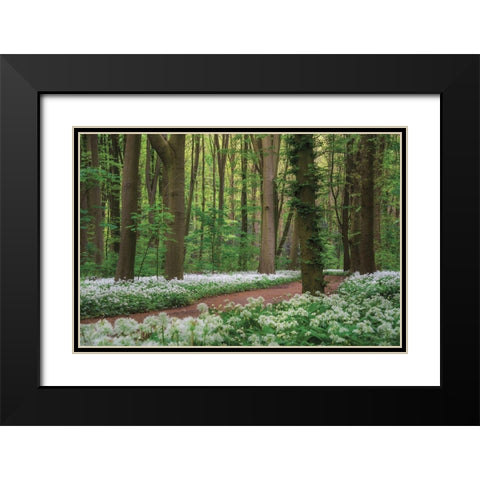 White Carpet Black Modern Wood Framed Art Print with Double Matting by Podt, Martin