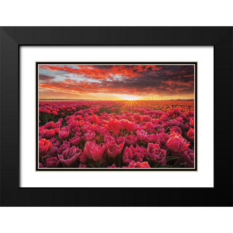 Tulip Magnificence Black Modern Wood Framed Art Print with Double Matting by Podt, Martin