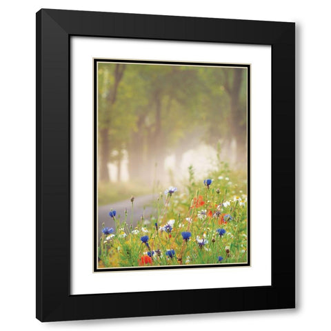 Bee Pleasure Black Modern Wood Framed Art Print with Double Matting by Podt, Martin