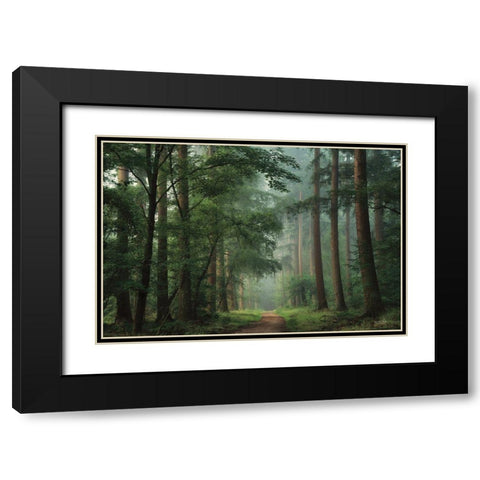 Moody Green Black Modern Wood Framed Art Print with Double Matting by Podt, Martin