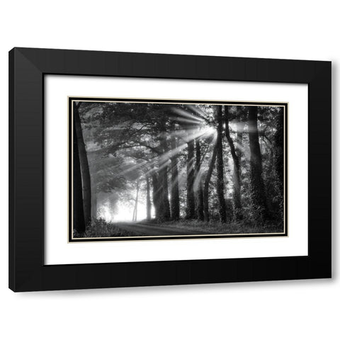 Amazing Rays Black Modern Wood Framed Art Print with Double Matting by Podt, Martin