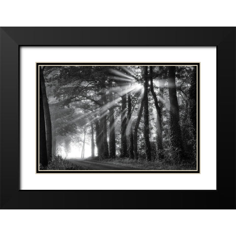 Amazing Rays Black Modern Wood Framed Art Print with Double Matting by Podt, Martin