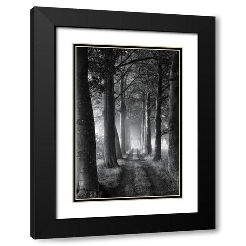 Forest Path Black Modern Wood Framed Art Print with Double Matting by Podt, Martin