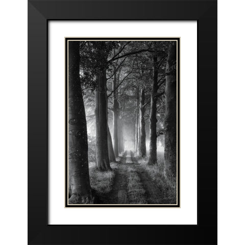 Forest Path Black Modern Wood Framed Art Print with Double Matting by Podt, Martin