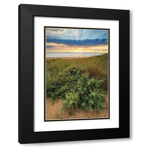 Dutch Dunes Black Modern Wood Framed Art Print with Double Matting by Podt, Martin