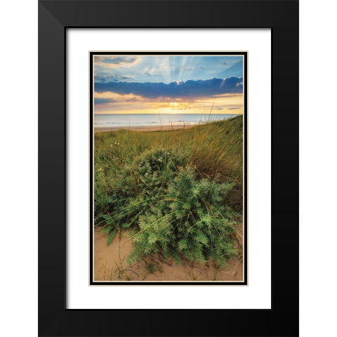 Dutch Dunes Black Modern Wood Framed Art Print with Double Matting by Podt, Martin