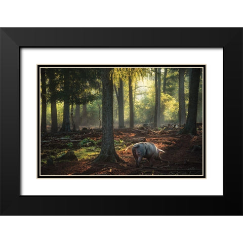 Morning Stroll  Black Modern Wood Framed Art Print with Double Matting by Podt, Martin