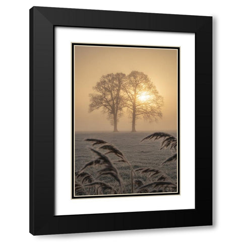Frosted Sunrise II Black Modern Wood Framed Art Print with Double Matting by Podt, Martin