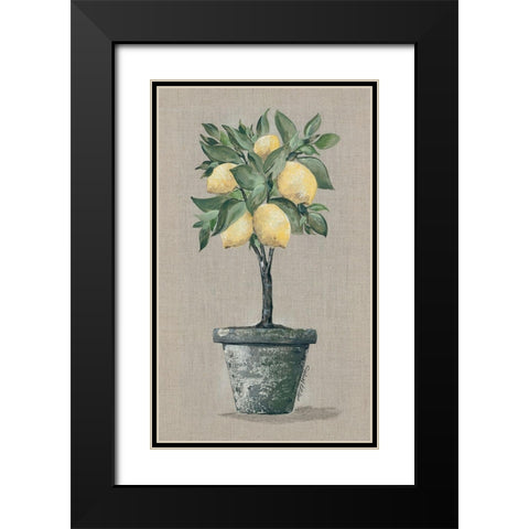 Lemon Tree Black Modern Wood Framed Art Print with Double Matting by Norkus, Julie