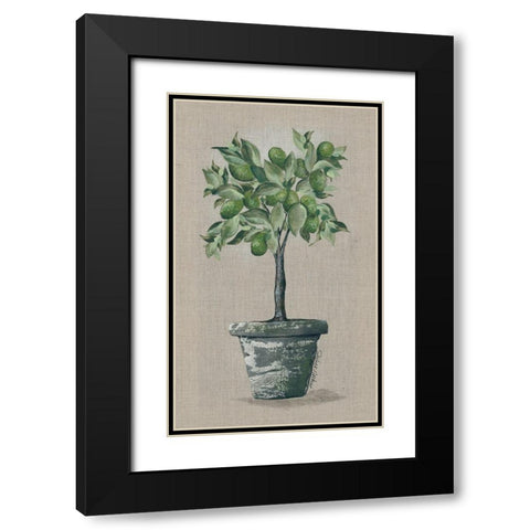 Lime Tree Black Modern Wood Framed Art Print with Double Matting by Norkus, Julie