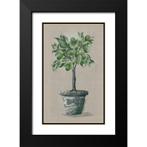 Lime Tree Black Modern Wood Framed Art Print with Double Matting by Norkus, Julie