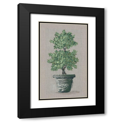 Double Topiary Black Modern Wood Framed Art Print with Double Matting by Norkus, Julie