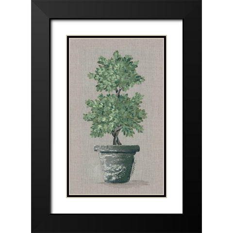 Double Topiary Black Modern Wood Framed Art Print with Double Matting by Norkus, Julie