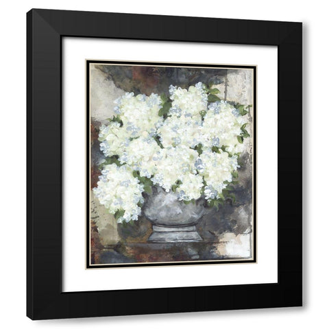 Snowball Hydrangeas II Black Modern Wood Framed Art Print with Double Matting by Norkus, Julie