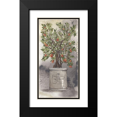 Bittersweet Bush Black Modern Wood Framed Art Print with Double Matting by Norkus, Julie