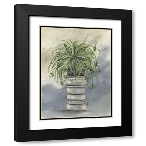 Spider Plant in Pottery Black Modern Wood Framed Art Print with Double Matting by Norkus, Julie