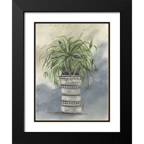 Spider Plant in Pottery Black Modern Wood Framed Art Print with Double Matting by Norkus, Julie