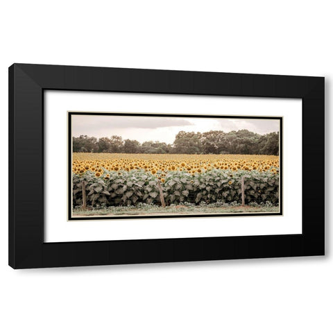 Sunflower Field No. 7 Black Modern Wood Framed Art Print with Double Matting by Rigsby, Jennifer