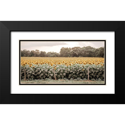 Sunflower Field No. 7 Black Modern Wood Framed Art Print with Double Matting by Rigsby, Jennifer