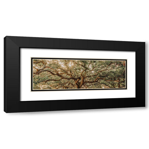 Low Country Oaks I Black Modern Wood Framed Art Print with Double Matting by Rigsby, Jennifer