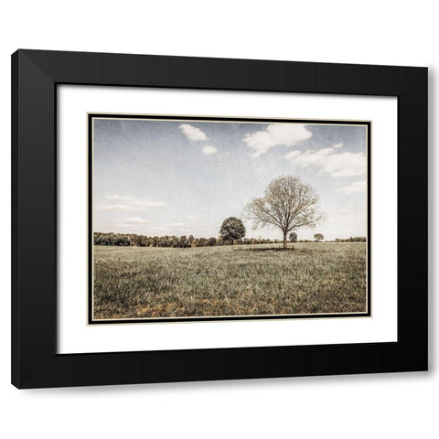 Together in the Fields I Black Modern Wood Framed Art Print with Double Matting by Rigsby, Jennifer