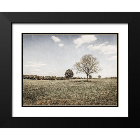 Together in the Fields I Black Modern Wood Framed Art Print with Double Matting by Rigsby, Jennifer