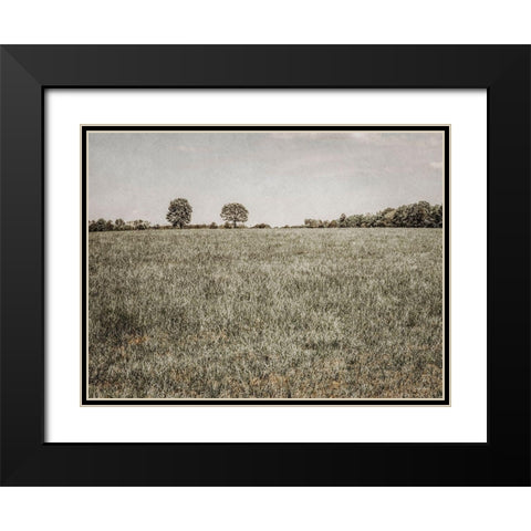 Together in the Fields II Black Modern Wood Framed Art Print with Double Matting by Rigsby, Jennifer