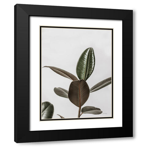 Boho Rubber Tree Black Modern Wood Framed Art Print with Double Matting by Rigsby, Jennifer