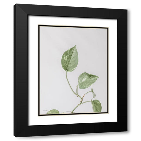 Boho Pothos Black Modern Wood Framed Art Print with Double Matting by Rigsby, Jennifer