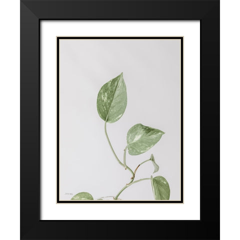Boho Pothos Black Modern Wood Framed Art Print with Double Matting by Rigsby, Jennifer