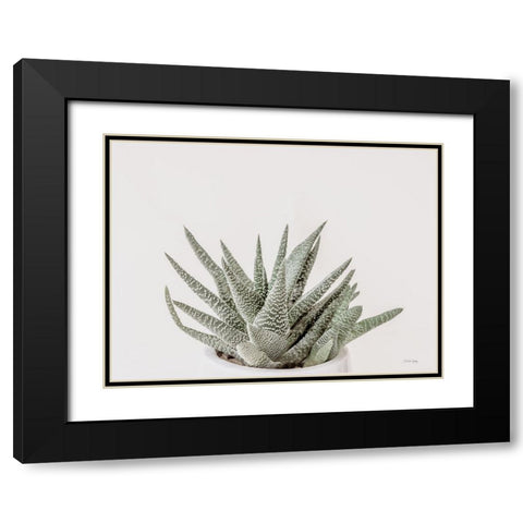 Boho Succulent Black Modern Wood Framed Art Print with Double Matting by Rigsby, Jennifer