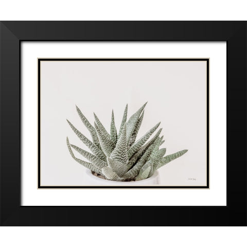 Boho Succulent Black Modern Wood Framed Art Print with Double Matting by Rigsby, Jennifer