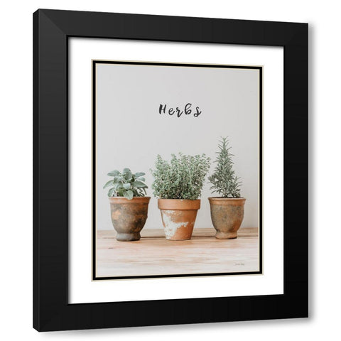 Farmhouse Herbs II Black Modern Wood Framed Art Print with Double Matting by Rigsby, Jennifer