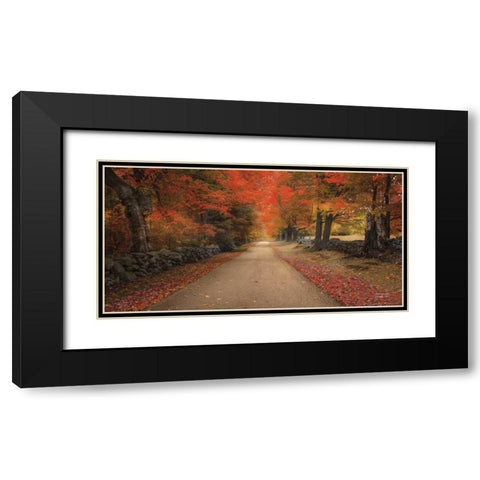 October Lane Black Modern Wood Framed Art Print with Double Matting by Vieira, Robin-Lee