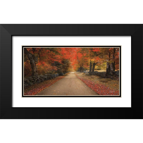 October Lane Black Modern Wood Framed Art Print with Double Matting by Vieira, Robin-Lee
