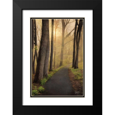 After the Rain Black Modern Wood Framed Art Print with Double Matting by Vieira, Robin-Lee