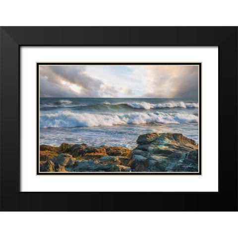 The Clearing Black Modern Wood Framed Art Print with Double Matting by Vieira, Robin-Lee