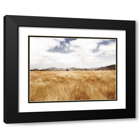 Meadow Black Modern Wood Framed Art Print with Double Matting by Ball, Susan