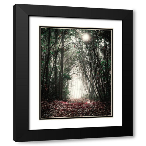 Path in the Woods Black Modern Wood Framed Art Print with Double Matting by Ball, Susan