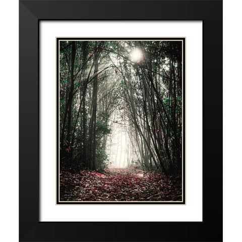 Path in the Woods Black Modern Wood Framed Art Print with Double Matting by Ball, Susan