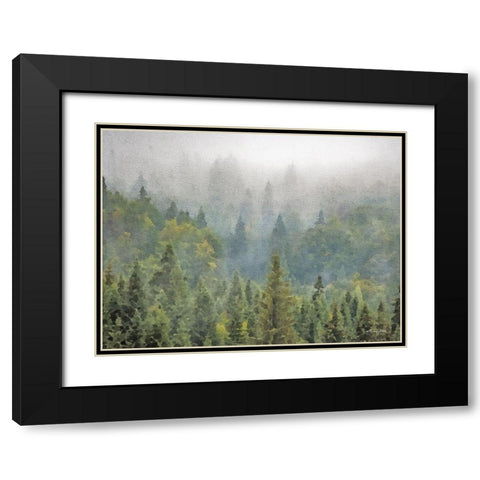 Pines Black Modern Wood Framed Art Print with Double Matting by Ball, Susan