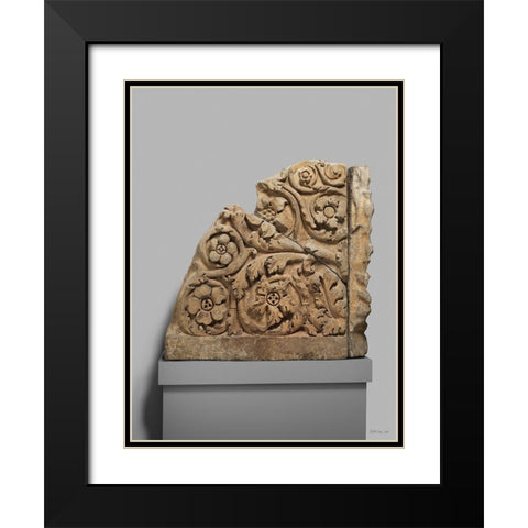 Acanthus 1 Black Modern Wood Framed Art Print with Double Matting by Stellar Design Studio