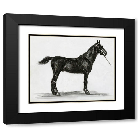 Horse Study 3 Black Modern Wood Framed Art Print with Double Matting by Stellar Design Studio