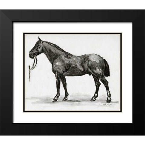 Horse Study 4 Black Modern Wood Framed Art Print with Double Matting by Stellar Design Studio