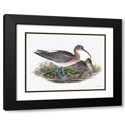 Goulds Coastal Bird III Black Modern Wood Framed Art Print with Double Matting by Stellar Designs Studio